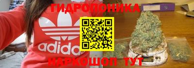 мдпв Обь