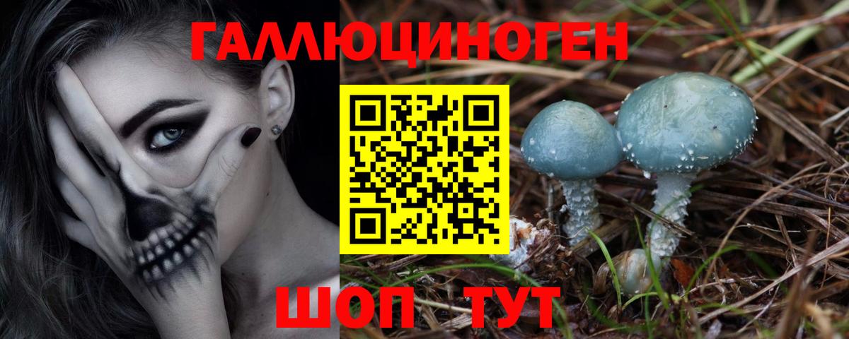 Псилоцибиновые грибы прущие грибы  Вход с VPN  Южноуральск 